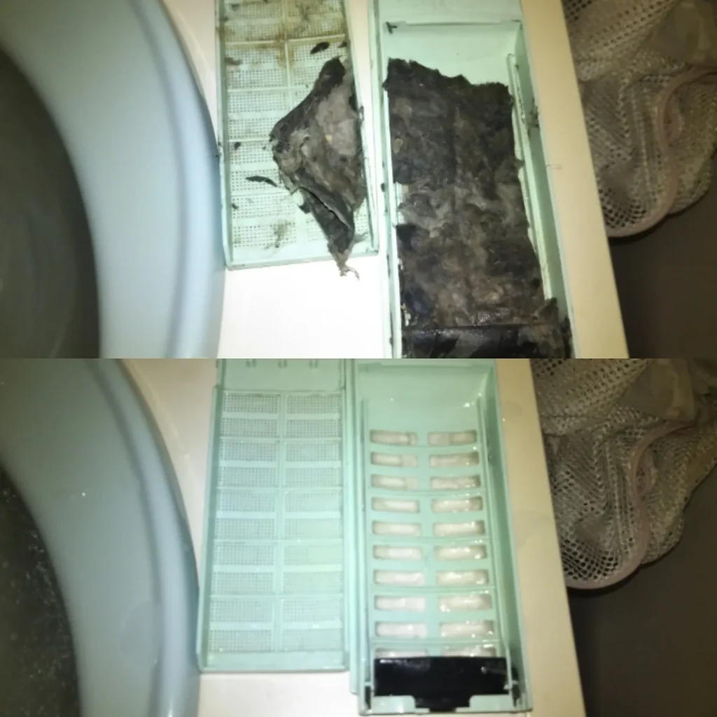 洗濯機の糸くずフィルターにたまった汚れを清掃前後で比較した写真