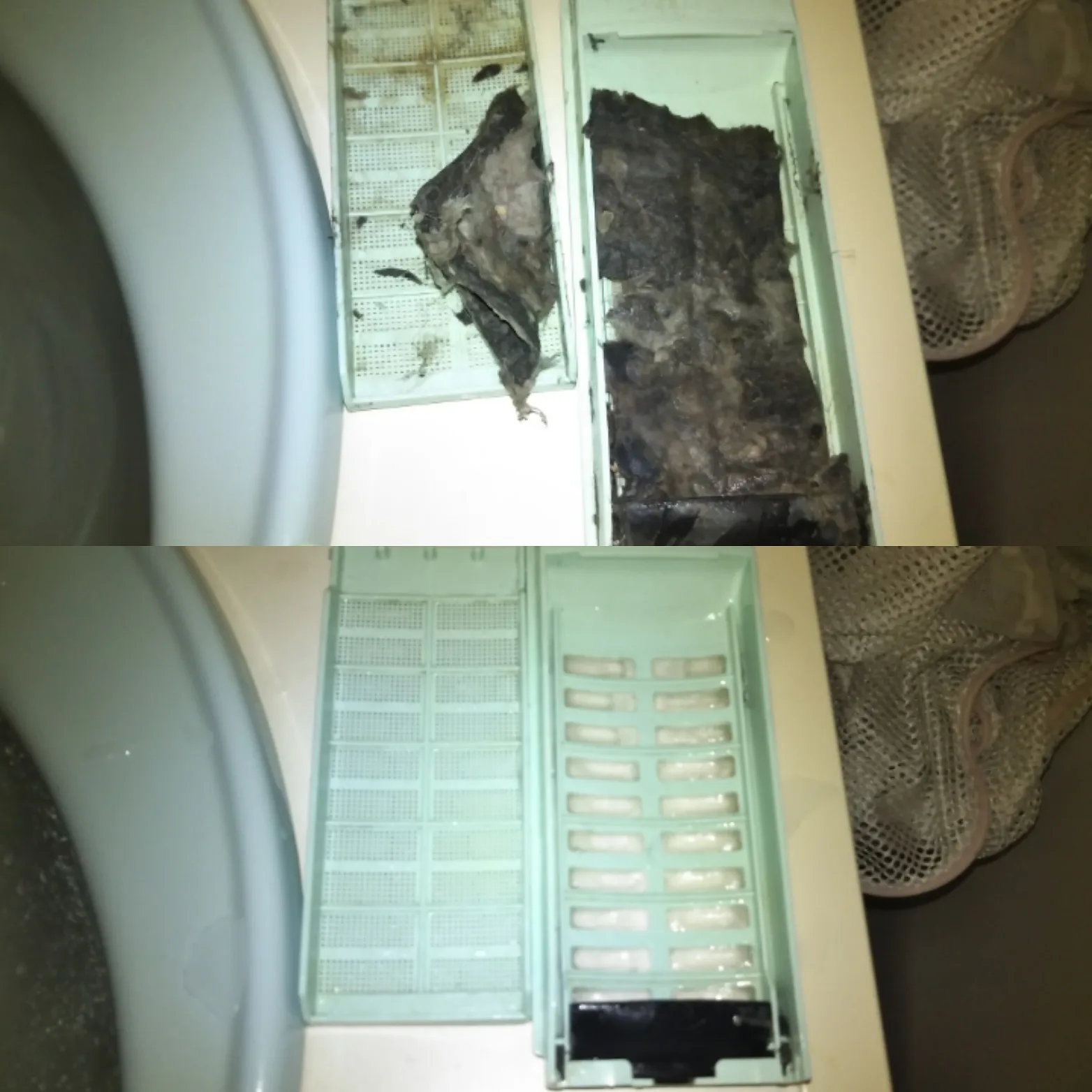 洗濯機の糸くずフィルターにたまった汚れを清掃前後で比較した写真
