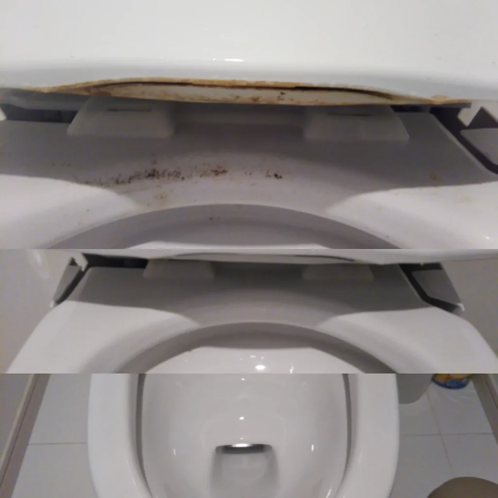 トイレのふた裏や手洗いタンクにたまった黒ずみ汚れを落とし、清潔に仕上げたビフォーアフター